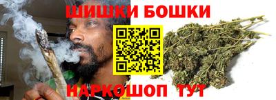 крисы Вышний Волочёк