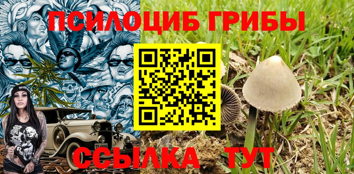 Псилоцибиновые грибы мицелий Печора
