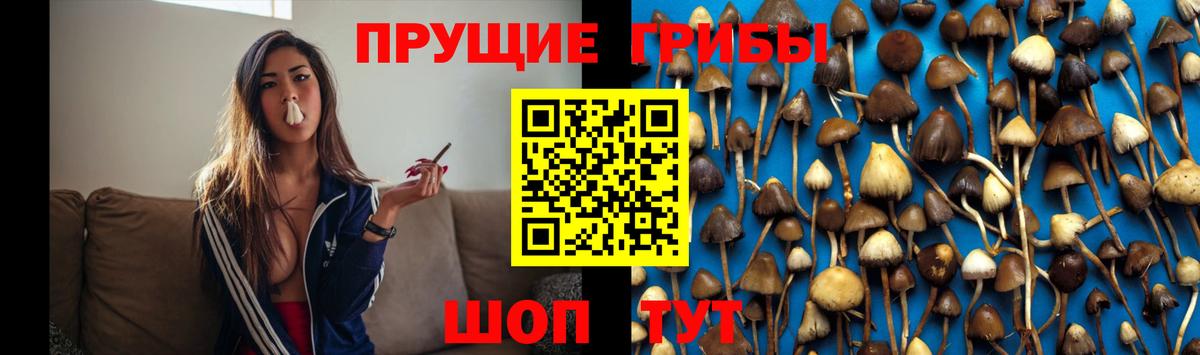 Печора  Галлюциногенные грибы GOLDEN TEACHER  Вход с VPN 